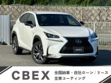 NX 300h Iパッケージ ナビ TV 革シート Pスタート