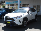 RAV4 2.0 X 