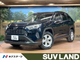 RAV4 2.0 X 