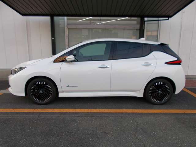 日産 リーフ X Vセレクション の中古車詳細 (1,000km, パール