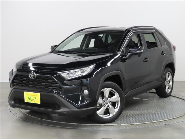 RAV4 2.0 X 