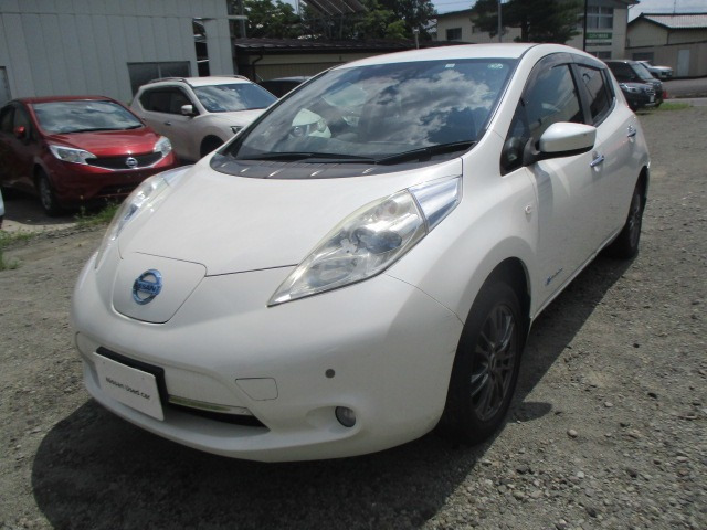 リーフ 30kWh X 