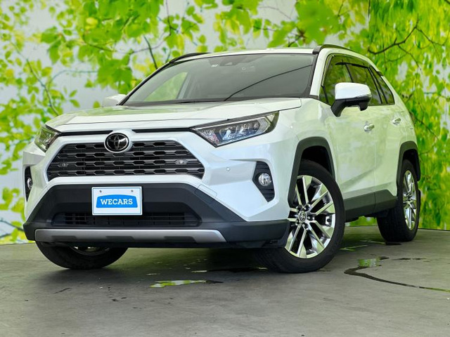 RAV4 2.0 G Zパッケージ 4WD 