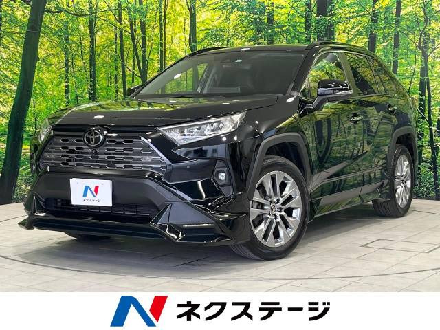 RAV4  G Zパッケージ