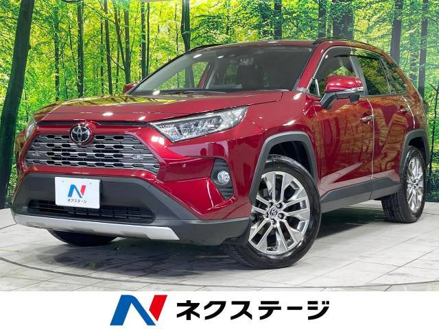 RAV4  G Zパッケージ