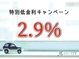 【特別低金利2.9%】キャンペーン実施中!分割手数料の比較は重要です!事前審査等、お気軽にお申し付けくださいませ。