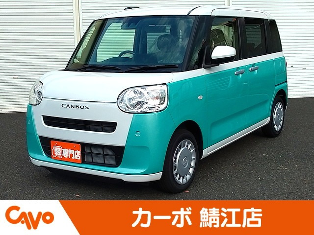 ムーヴキャンバス  ストライプス X