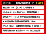 エルグランド 3.5 VIP メーター交換歴有