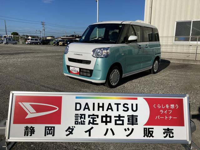 ムーヴキャンバス  ストライプス X