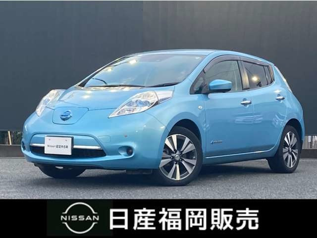 リーフ 30kWh X サンクス エディション 