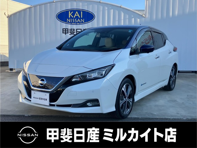 リーフ G 
