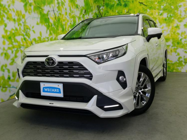 RAV4 2.0 G Zパッケージ 4WD 