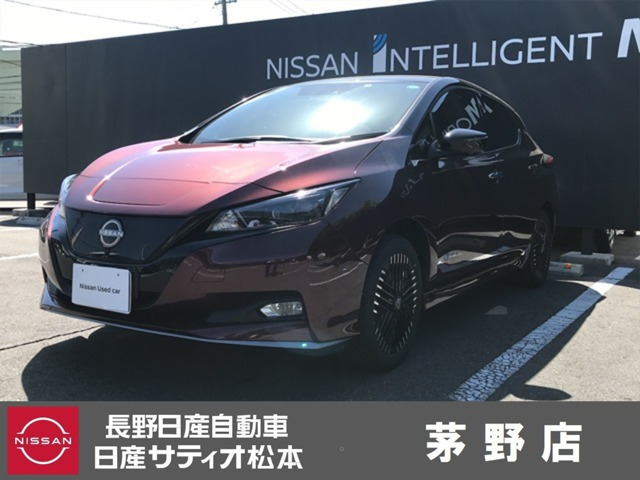 リーフ e+ G 