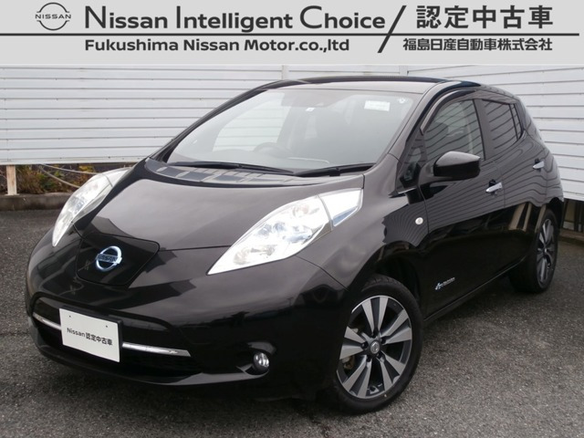 リーフ 30kWh G 