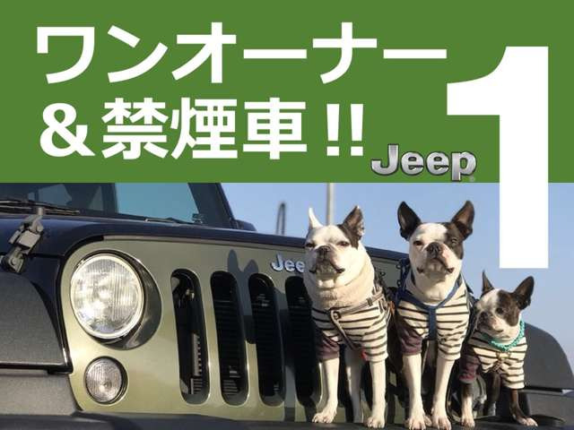 中古車 クライスラージープ ラングラー スポーツ 4WD の中古車詳細 (17,000km, グレー, 福岡県, 510.9万円) |  中古車情報・中古車検索なら【車選びドットコム（車選び.com）】