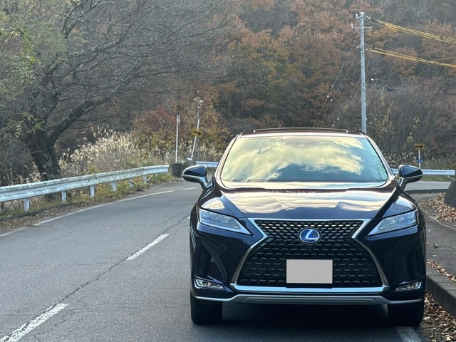 RX 450h バージョンL 