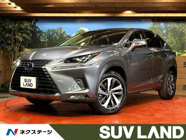 中古車 レクサス NX 300h Iパッケージ の中古車詳細 (19,240km, マーキュリーグレーマイカ, 愛知県, 380.1万円) |  中古車情報・中古車検索なら【車選びドットコム（車選び.com）】