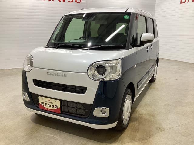 ムーヴキャンバス  ストライプス G