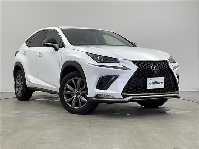 NX 300h Fスポーツ 本革シート 修復歴無し