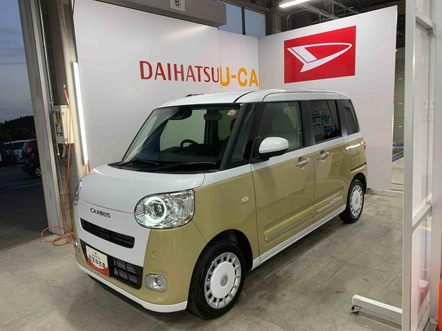 ムーヴキャンバス  ストライプス G