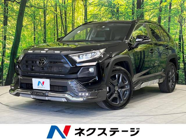 RAV4  アドベンチャー