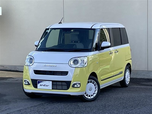 ムーヴキャンバス  ストライプス G