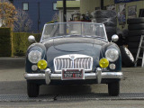 MGA  