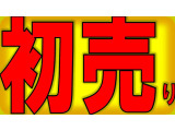 ヴィッツ 1.3 F セーフティ エディションIII 