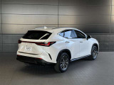 NX  