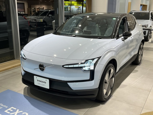 EX30 ウルトラ シングルモーター エクステンデッド レンジ 