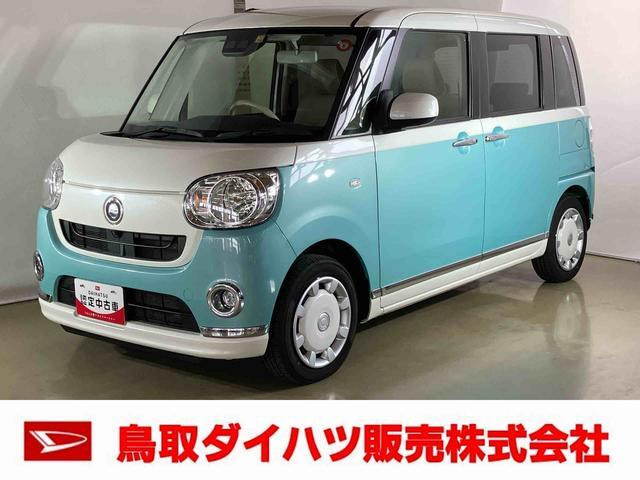 ムーヴキャンバス X リミテッド メイクアップ SAIII 