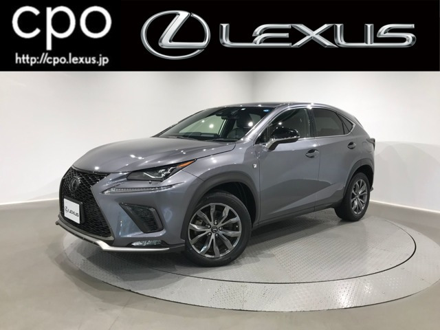 NX 300 Fスポーツ 