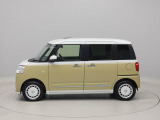 ムーヴキャンバス  ストライプス G
