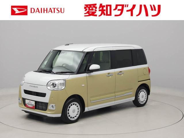 ムーヴキャンバス  ストライプス G