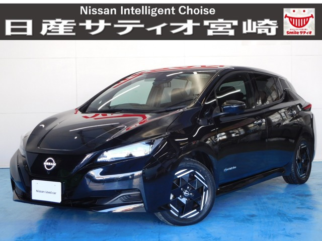 リーフ X 