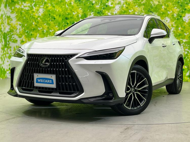 NX 350h バージョンL 