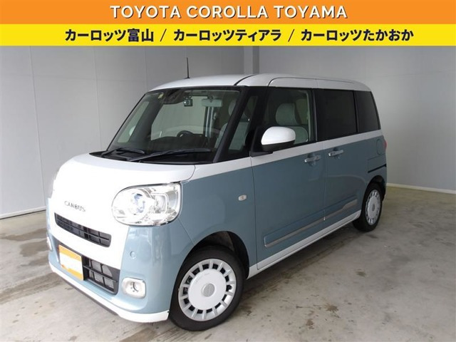 ムーヴキャンバス  ストライプス G