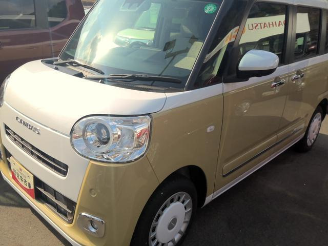 ムーヴキャンバス  ストライプス G