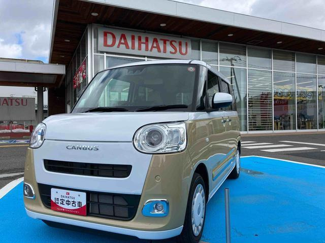 ムーヴキャンバス  ストライプス G