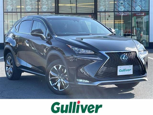 NX 300h Fスポーツ 本革シート 修復歴無し
