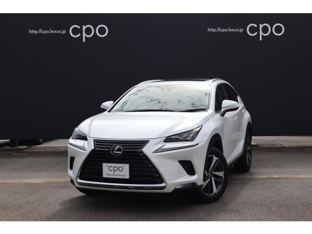 NX 300 Iパッケージ 4WD 