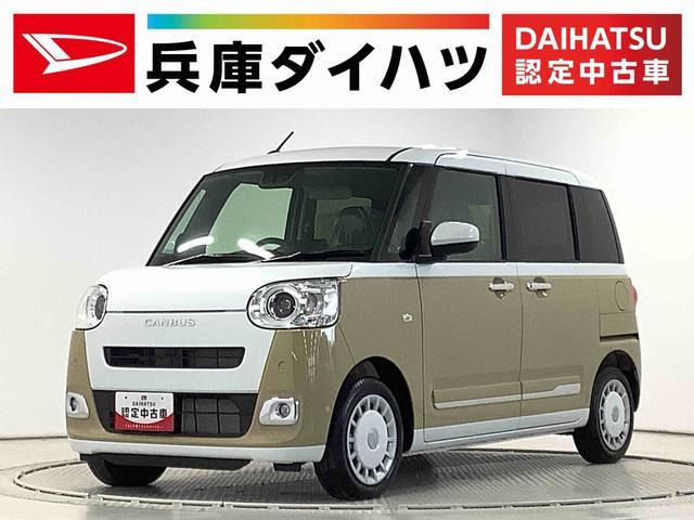 ムーヴキャンバス ストライプス G 