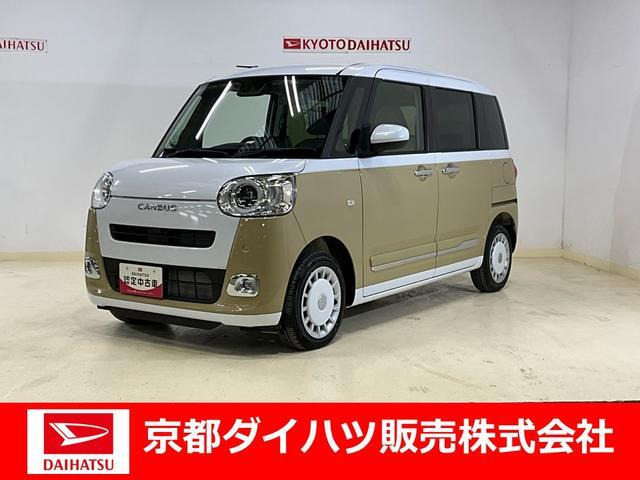 ムーヴキャンバス  ストライプス G