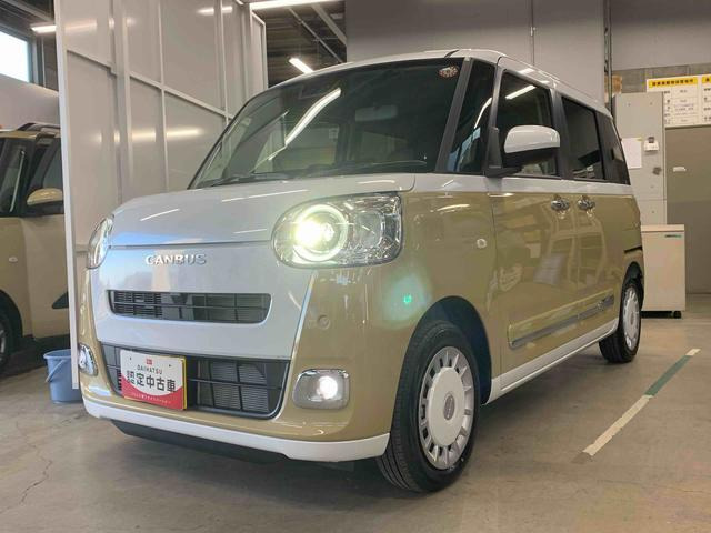 ムーヴキャンバス  ストライプス G