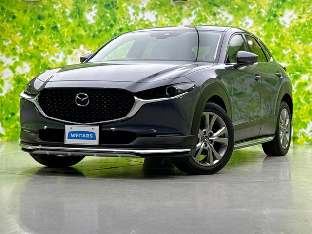 CX-30 2.0 20S プロアクティブ ツーリングセレクション 