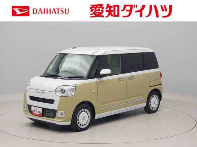 ムーヴキャンバス  ストライプス G