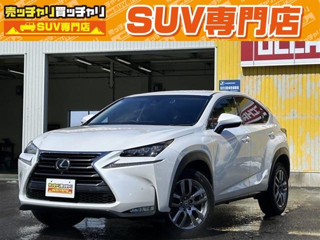 NX 200t Iパッケージ 