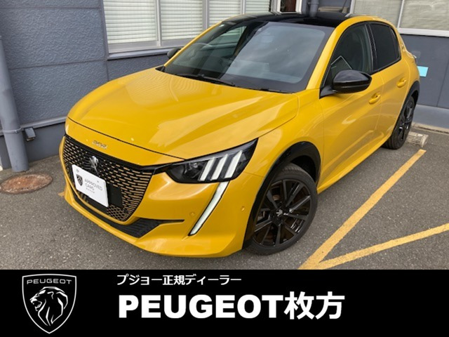 e-208 GT 