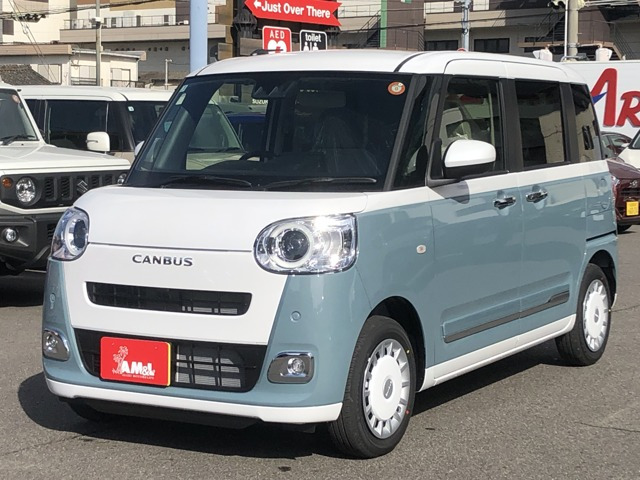 ムーヴキャンバス  ストライプス G