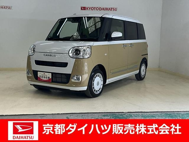 ムーヴキャンバス  ストライプス G